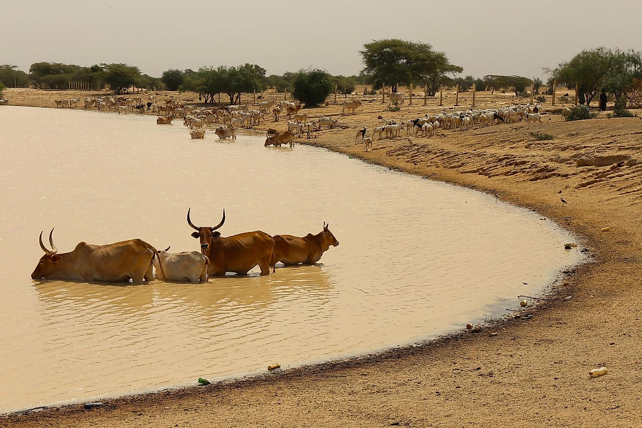 www.worldatlas.com